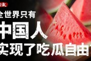 娱乐吃瓜酱财富自由,揭秘财富自由的秘密之路
